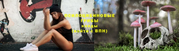 амф Арсеньев