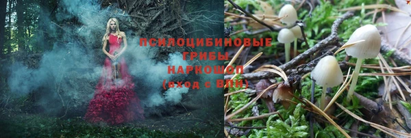 хмурый Армянск