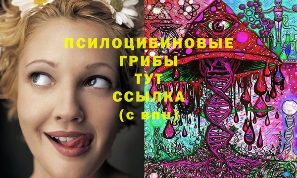 мяу мяу мука Аркадак